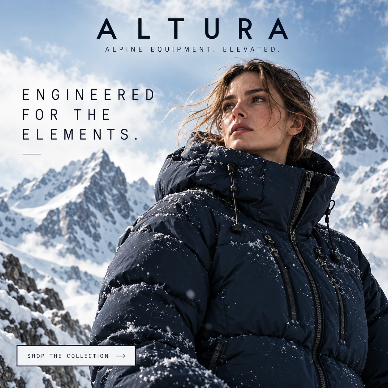 ALTURA · Digital ads / PPC 008 · Above the ordinary