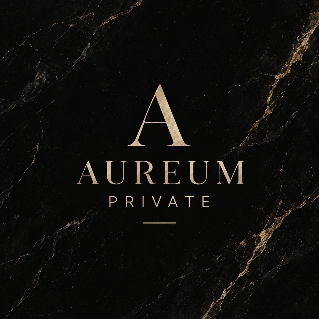 AUREUM PRIVATE · Digital ads / PPC 010 · The brand world