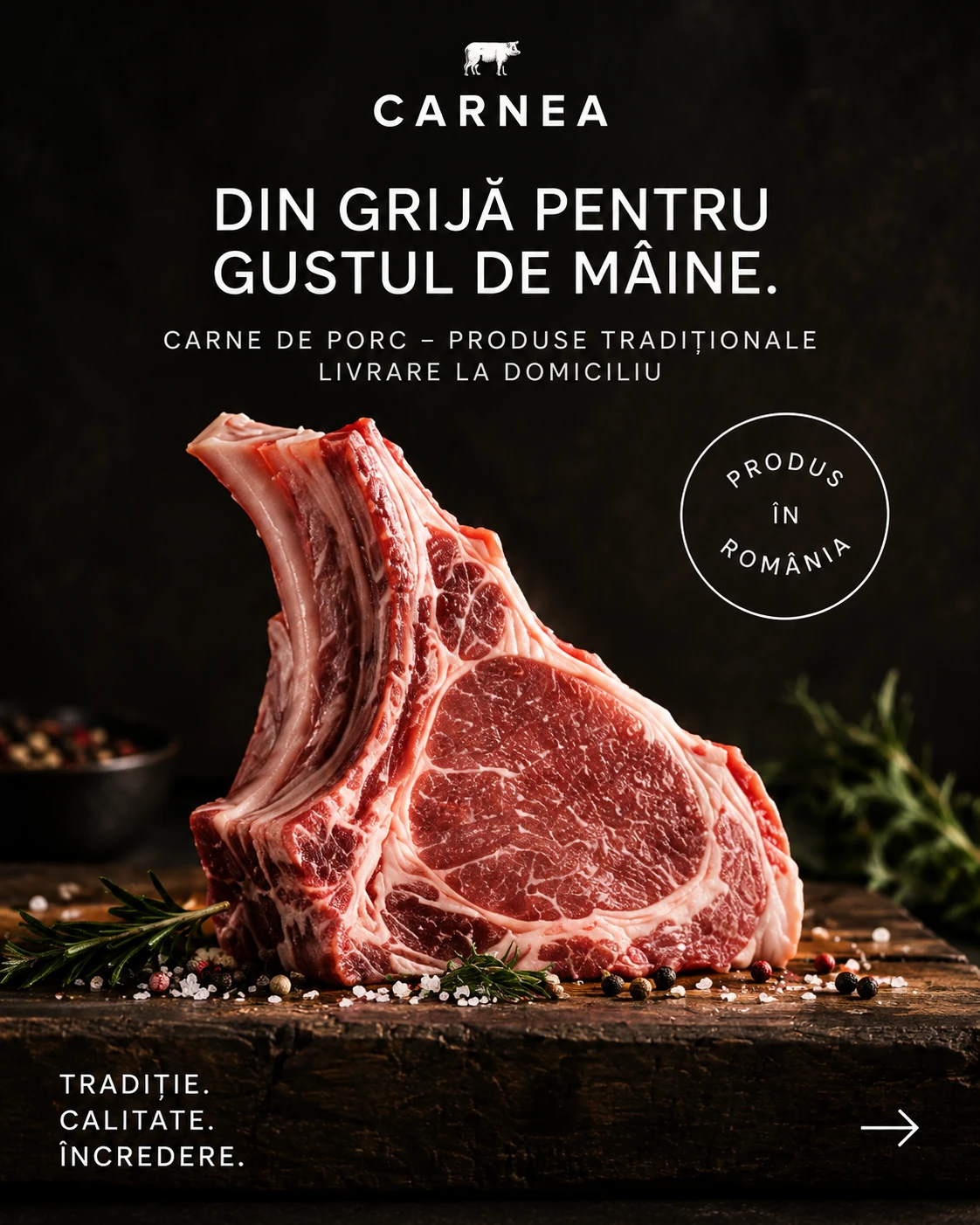 CARNEA · Digital ads / PPC 002 · The brand world