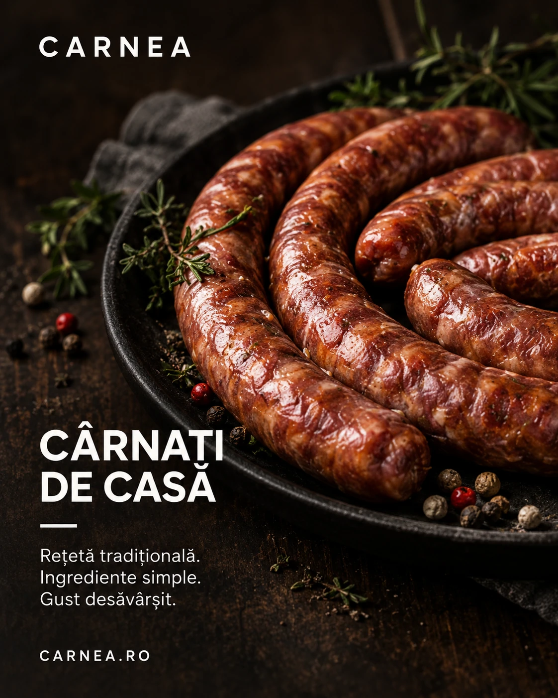 CARNEA · Digital ads / PPC 008 · The brand world