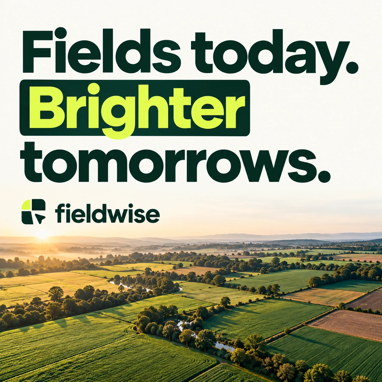 FIELDWISE · Post 8 / 9
