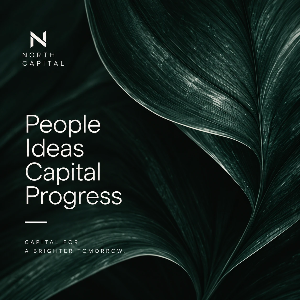 NORTH CAPITAL · An experience detail