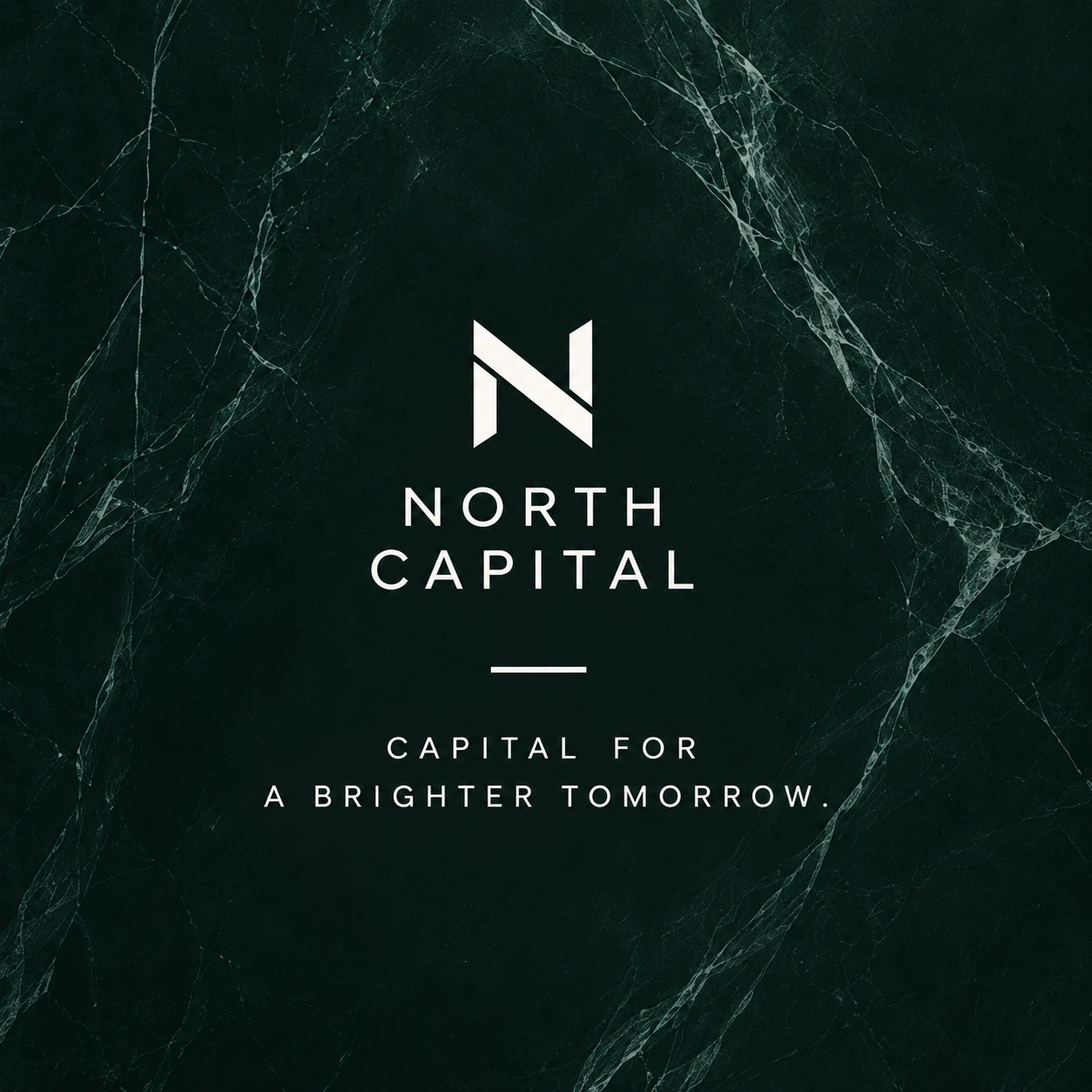 NORTH CAPITAL · Digital ads / PPC 006 · The brand world