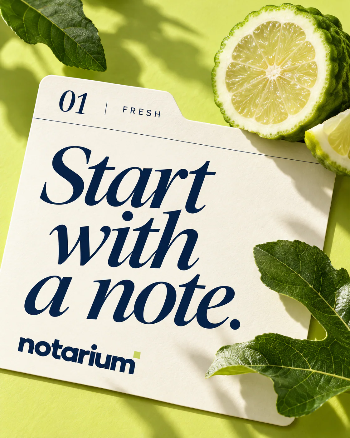 NOTARIUM · Feed · varianta 2