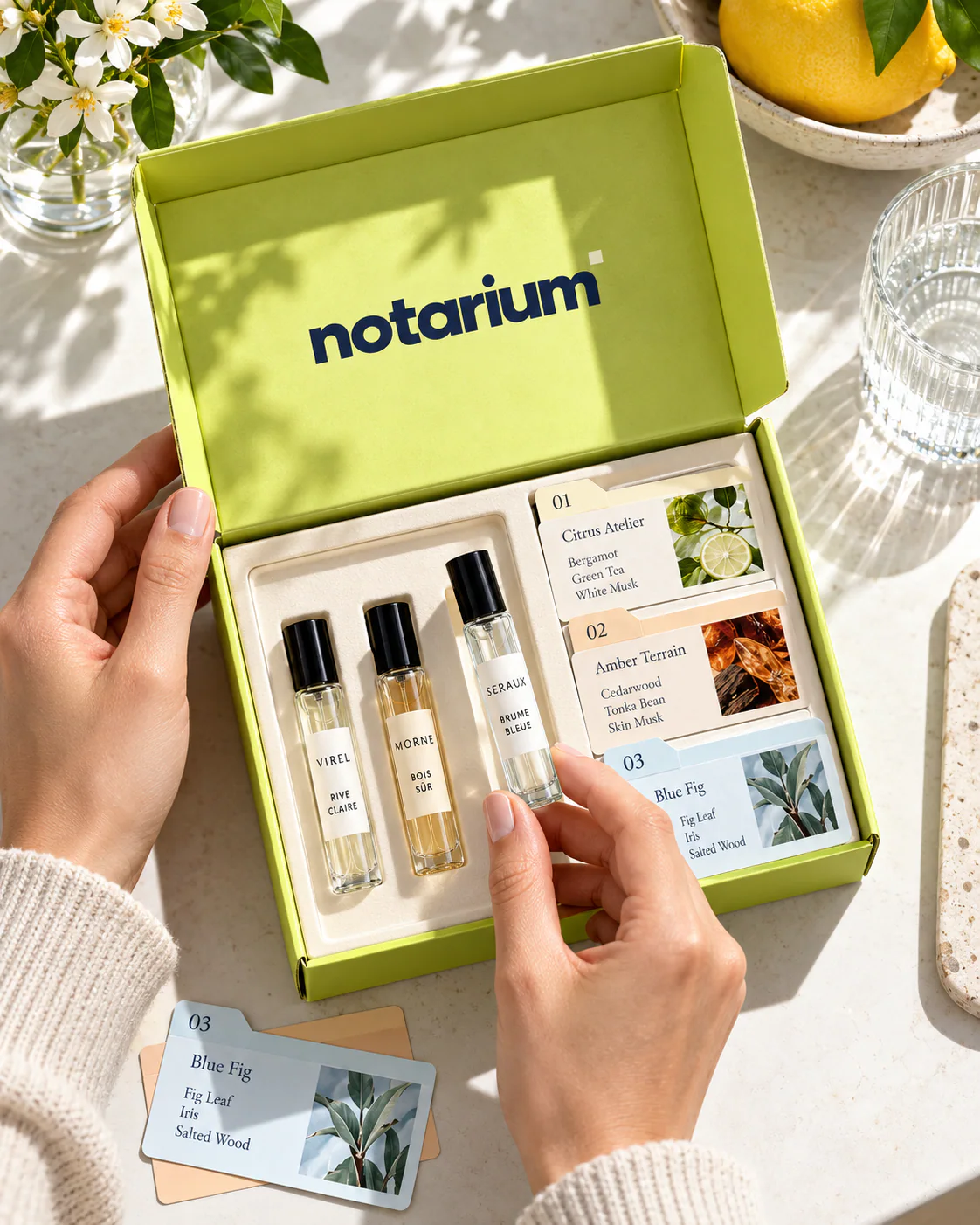 NOTARIUM · Contextul experienței