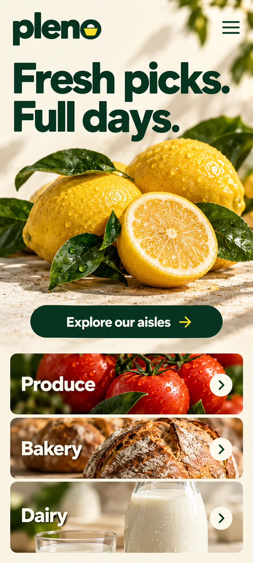 PLENO · Visual mockup · website concept · mobile