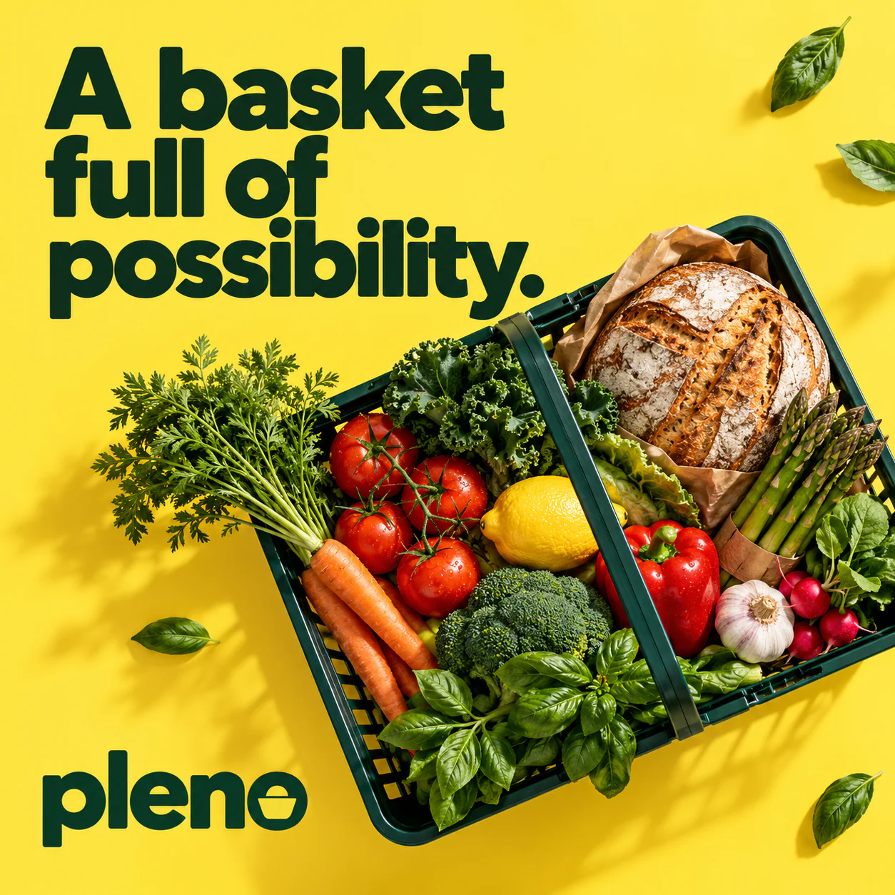 PLENO · The citron basket