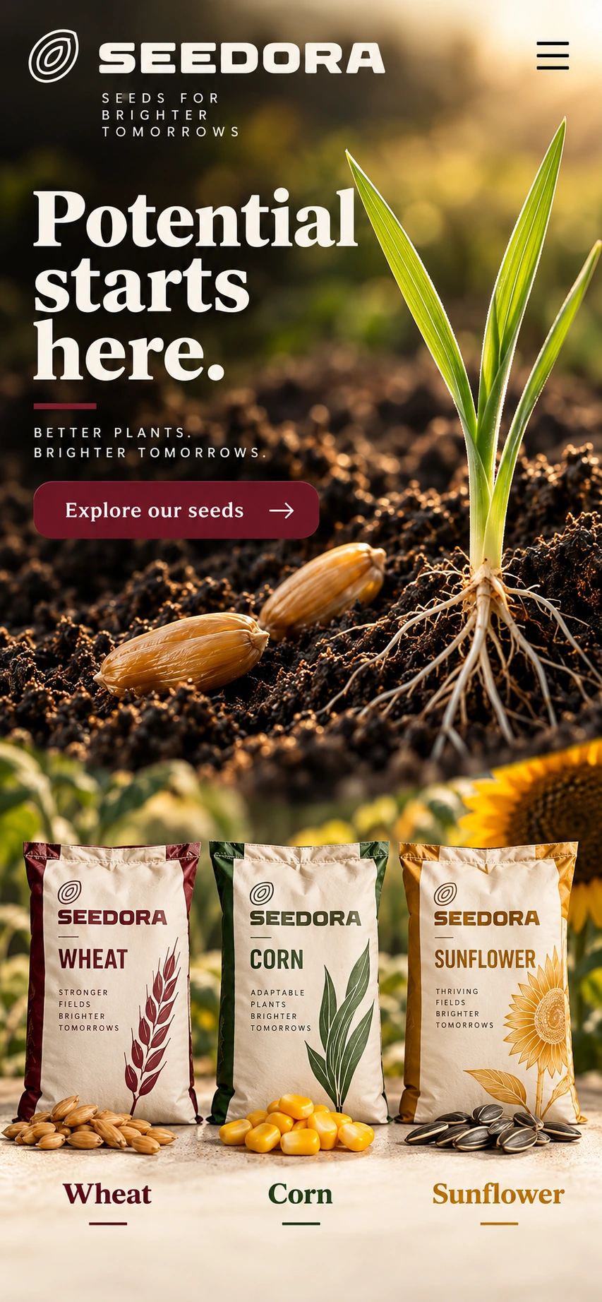 SEEDORA · Visual mockup · website concept · mobile