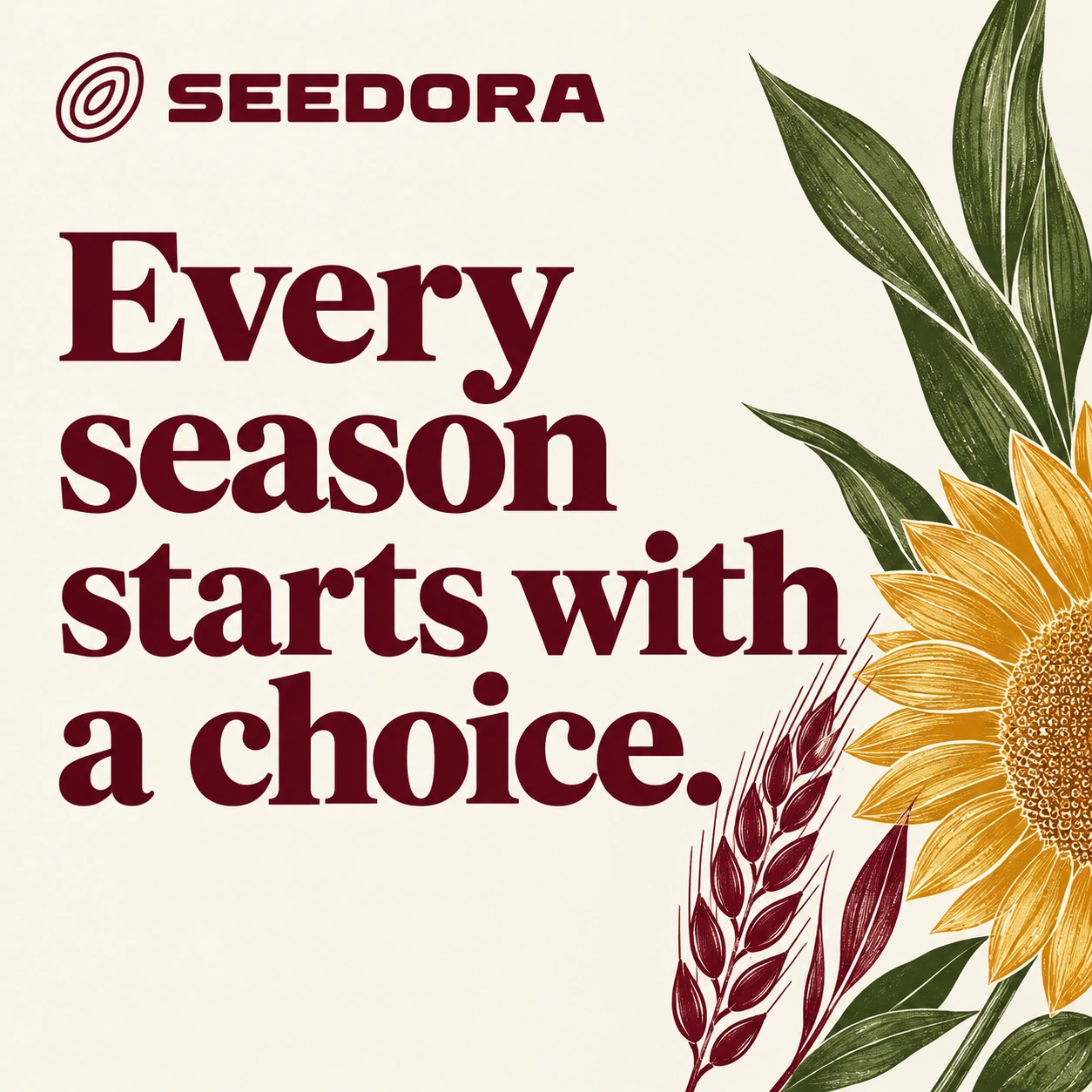 SEEDORA · Post 3 / 9