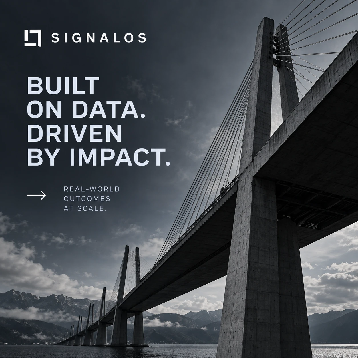 SIGNALOS · Digital ads / PPC 009 · Infrastructure and impact