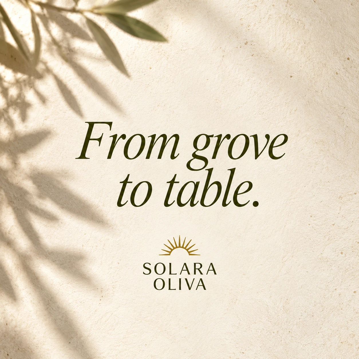 SOLARA OLIVA · Post 9 / 9