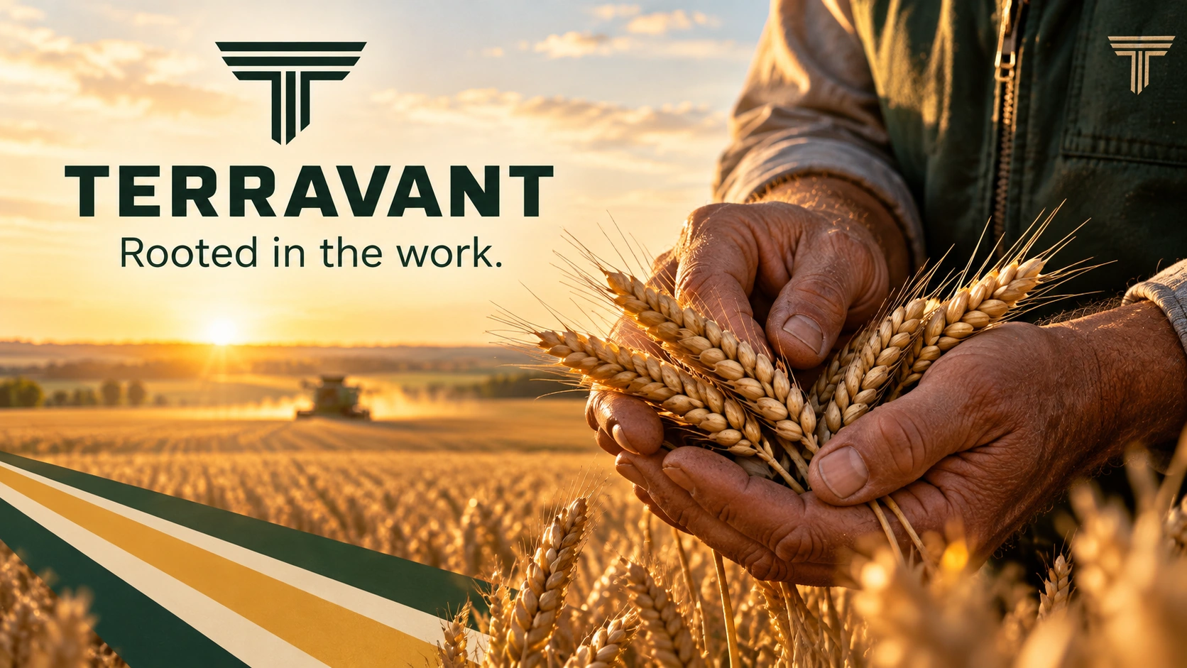 TERRAVANT · Key visual: produsul în prim-plan · Recolta în mâini