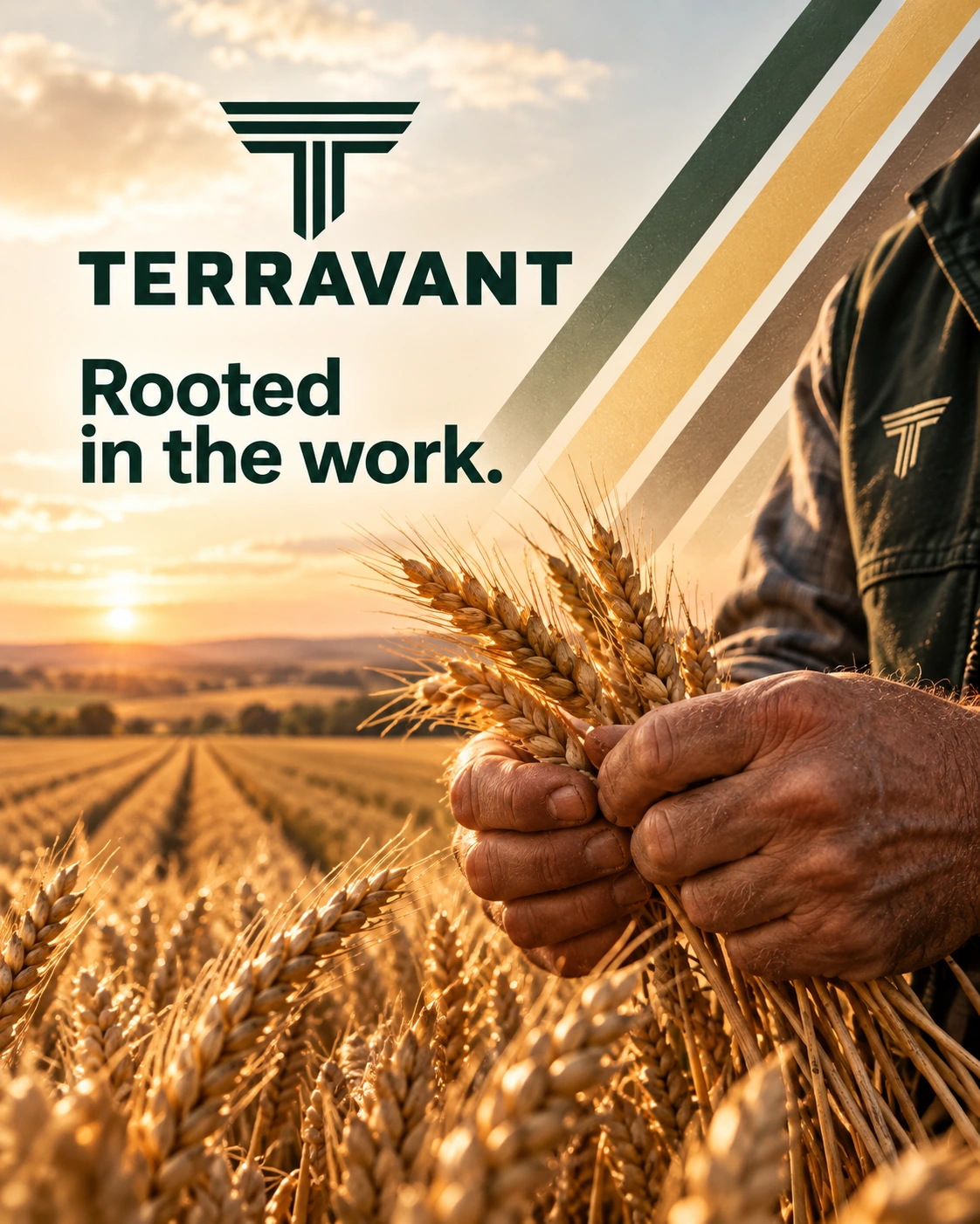 TERRAVANT · Feed · varianta 2