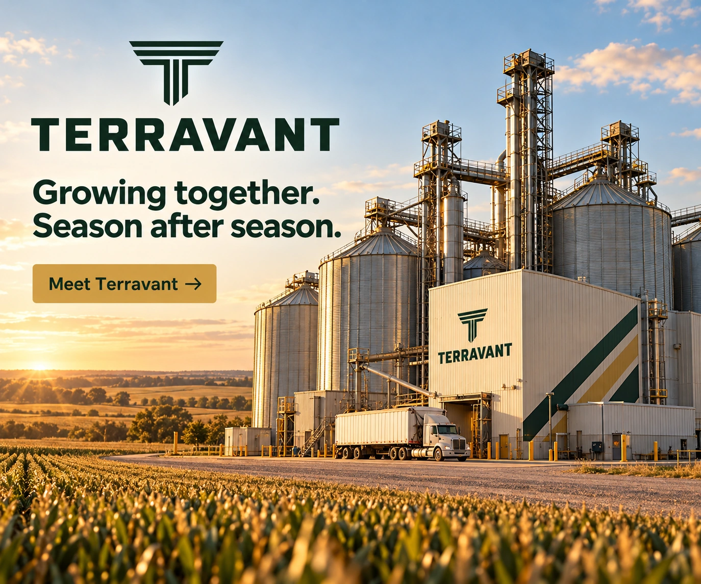 TERRAVANT · Reclamă digitală · format display