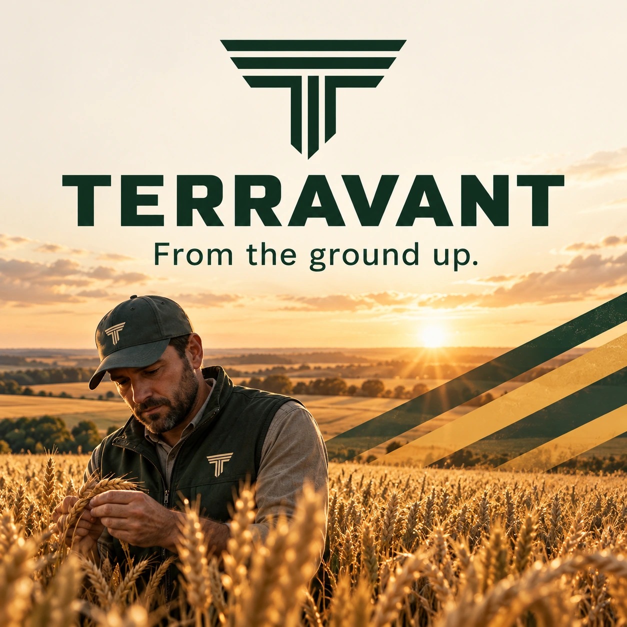 TERRAVANT · Postarea 1 / 9