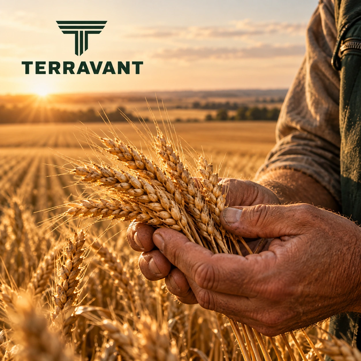 TERRAVANT · Postarea 4 / 9