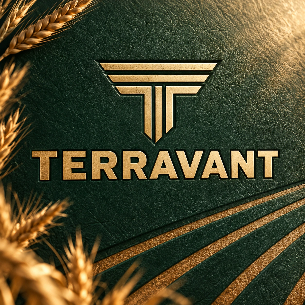 TERRAVANT · Postarea 5 / 9