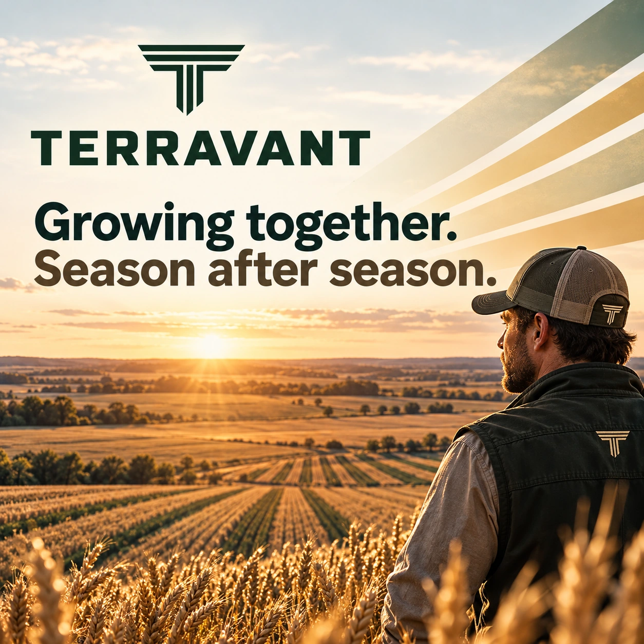 TERRAVANT · Postarea 8 / 9